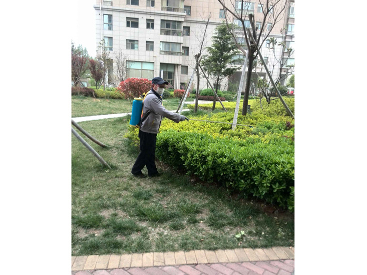 綠化養護服務(wù)